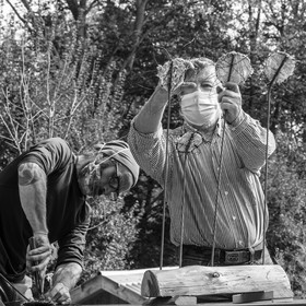 Fabrication de tournesols