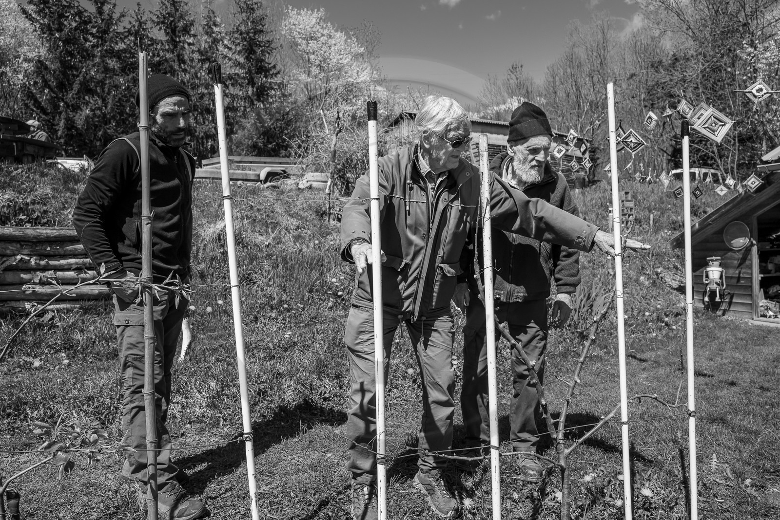 10 avril 2024 : Osier, laine et taille