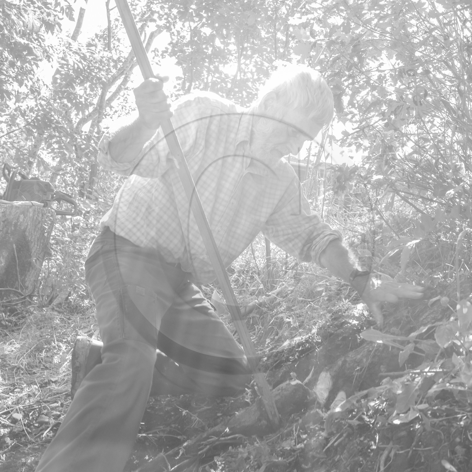 Activités au jardin Activités au jardin