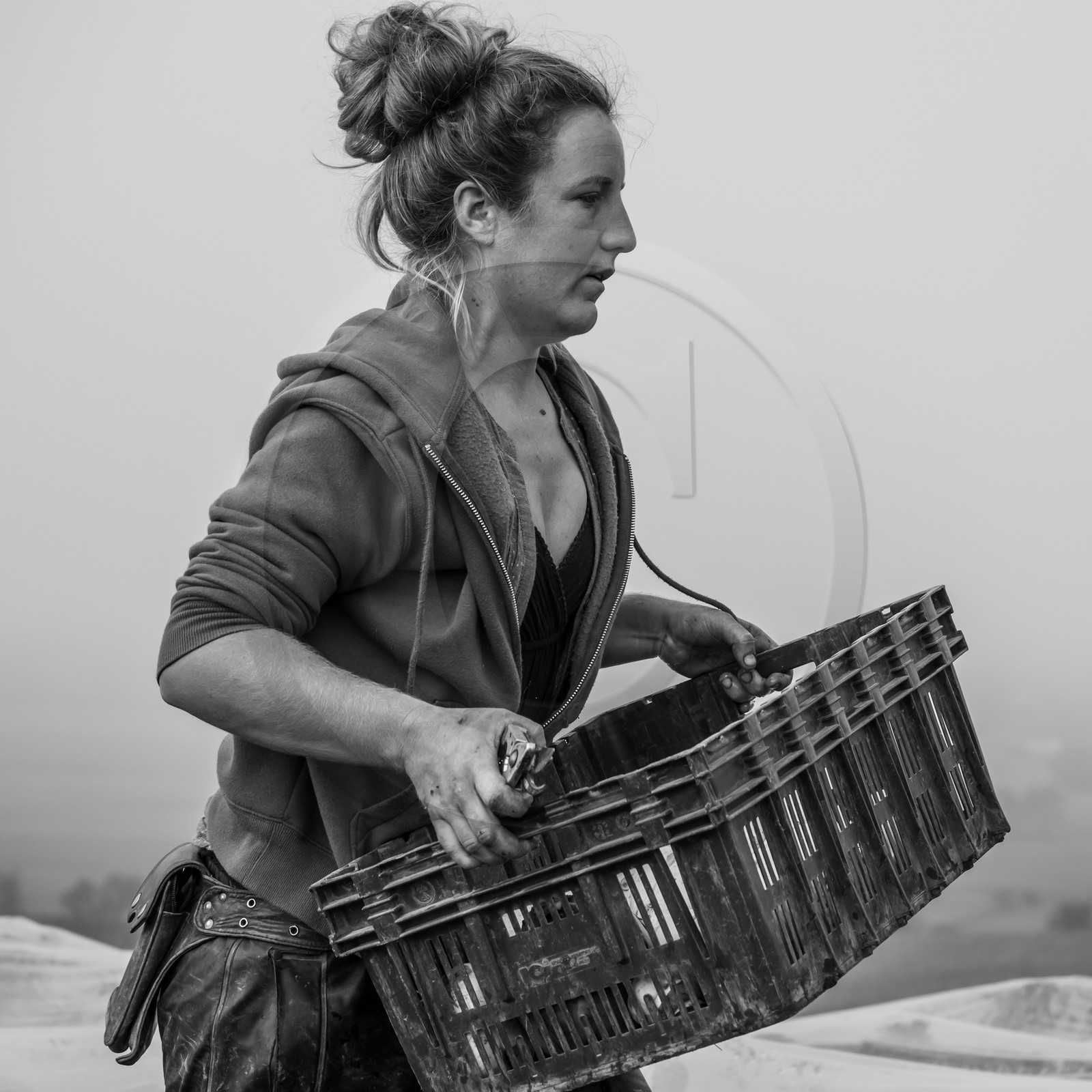 Maraichage biologique dans le Champsaur