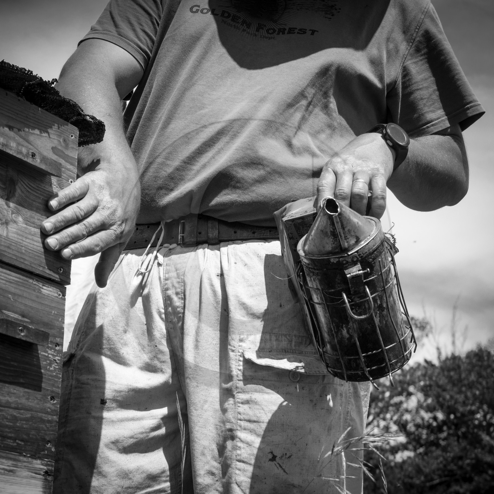 Visite au Rucher des Noisetiers