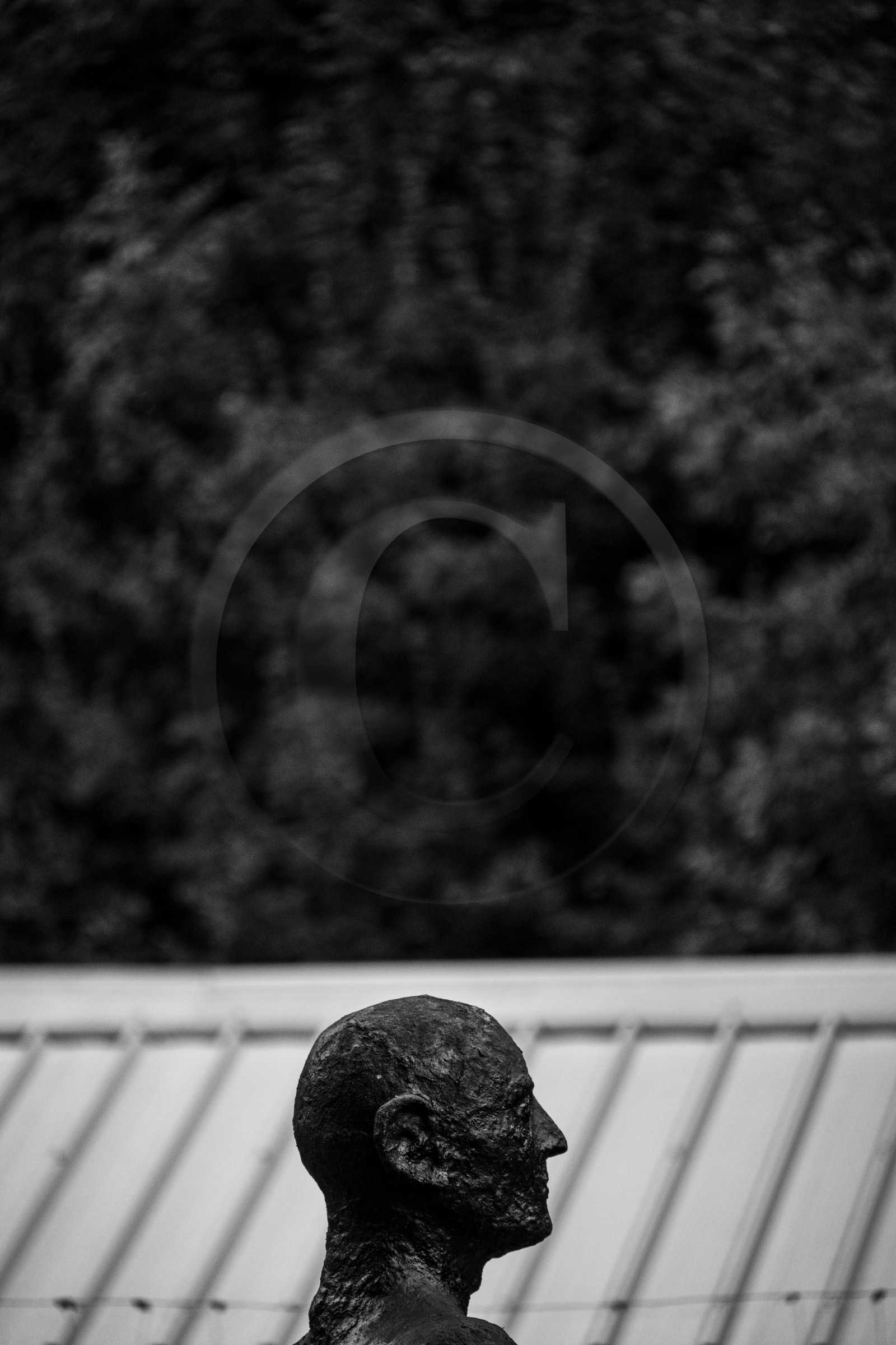 Exposition La forêt d'hommes, une création de Barbara Fougnon, artiste plasticienne Exposition La forêt d'hommes, une création de Barbara Fougnon, artiste plasticienne