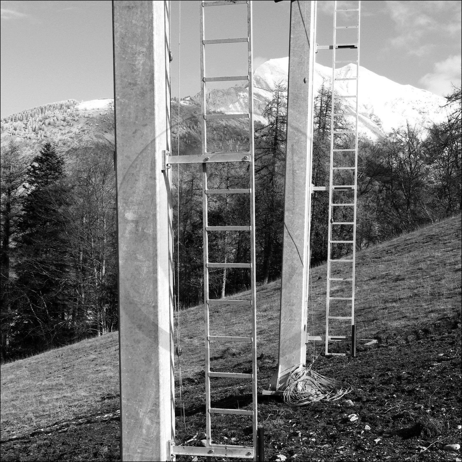 En attendant la neige