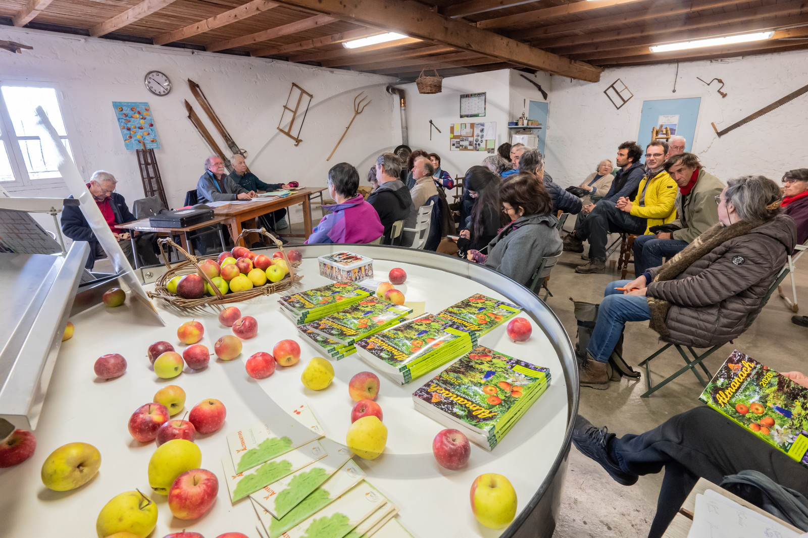 Croqueurs de pommes des Alpes Latines