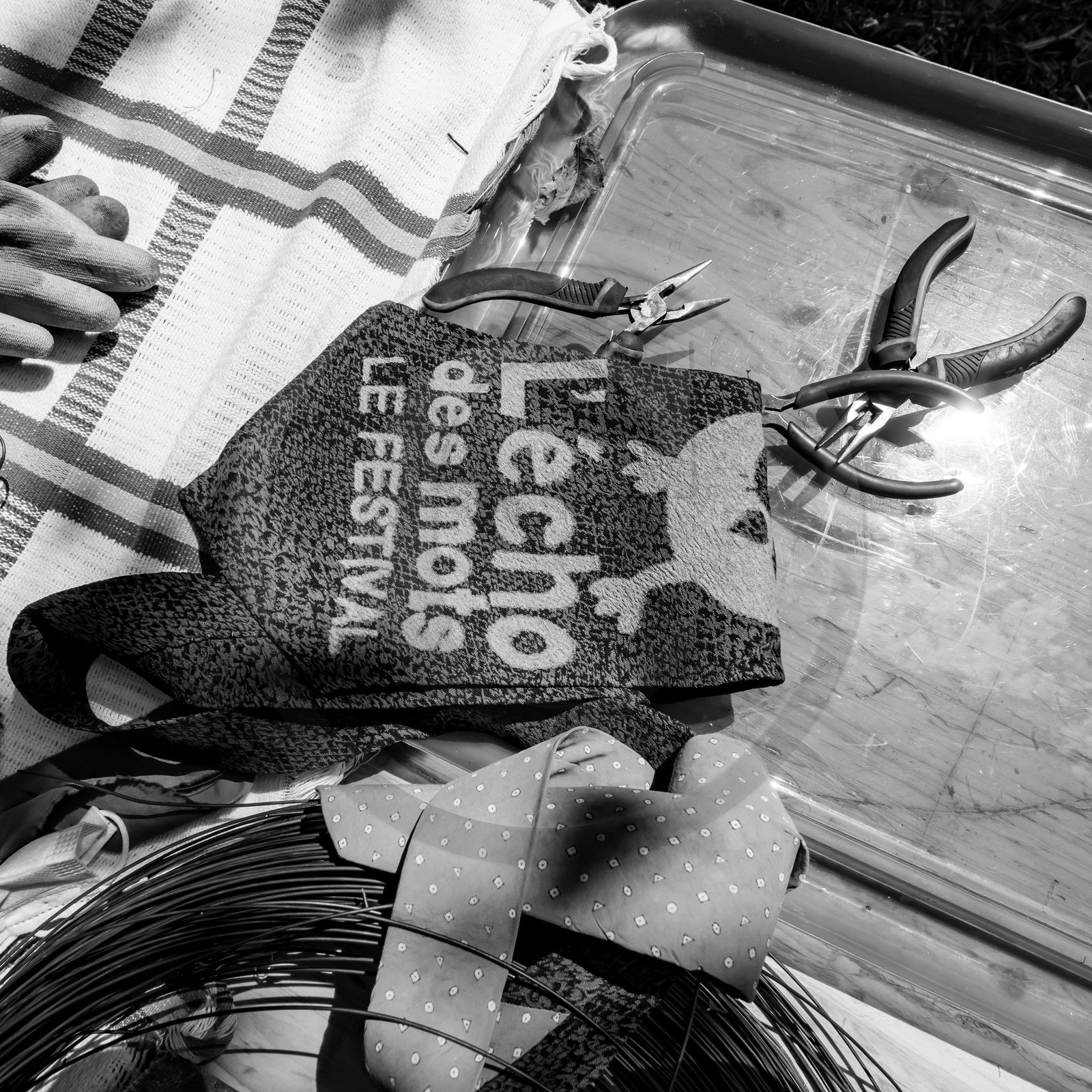 11, 12 et 13 août 2021 : L'Echo des Mots