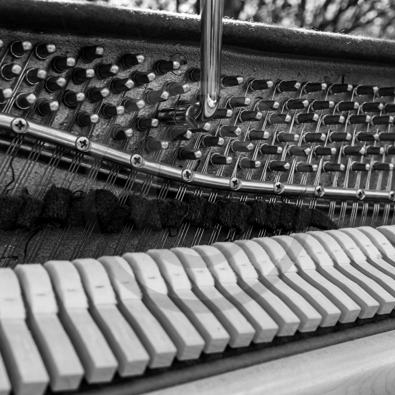 Philippe Séranne - Piano Vélo