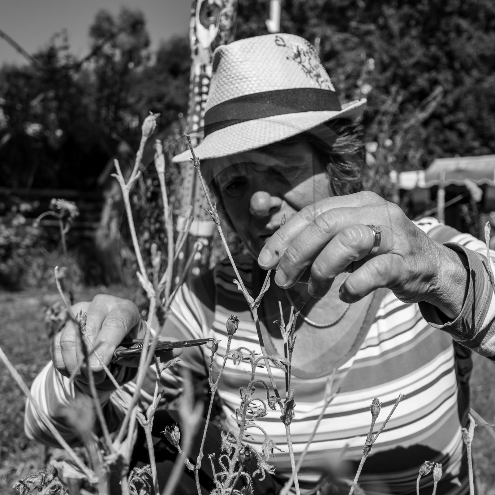 22 septembre 2021 : plein d'activités à l'Ouort