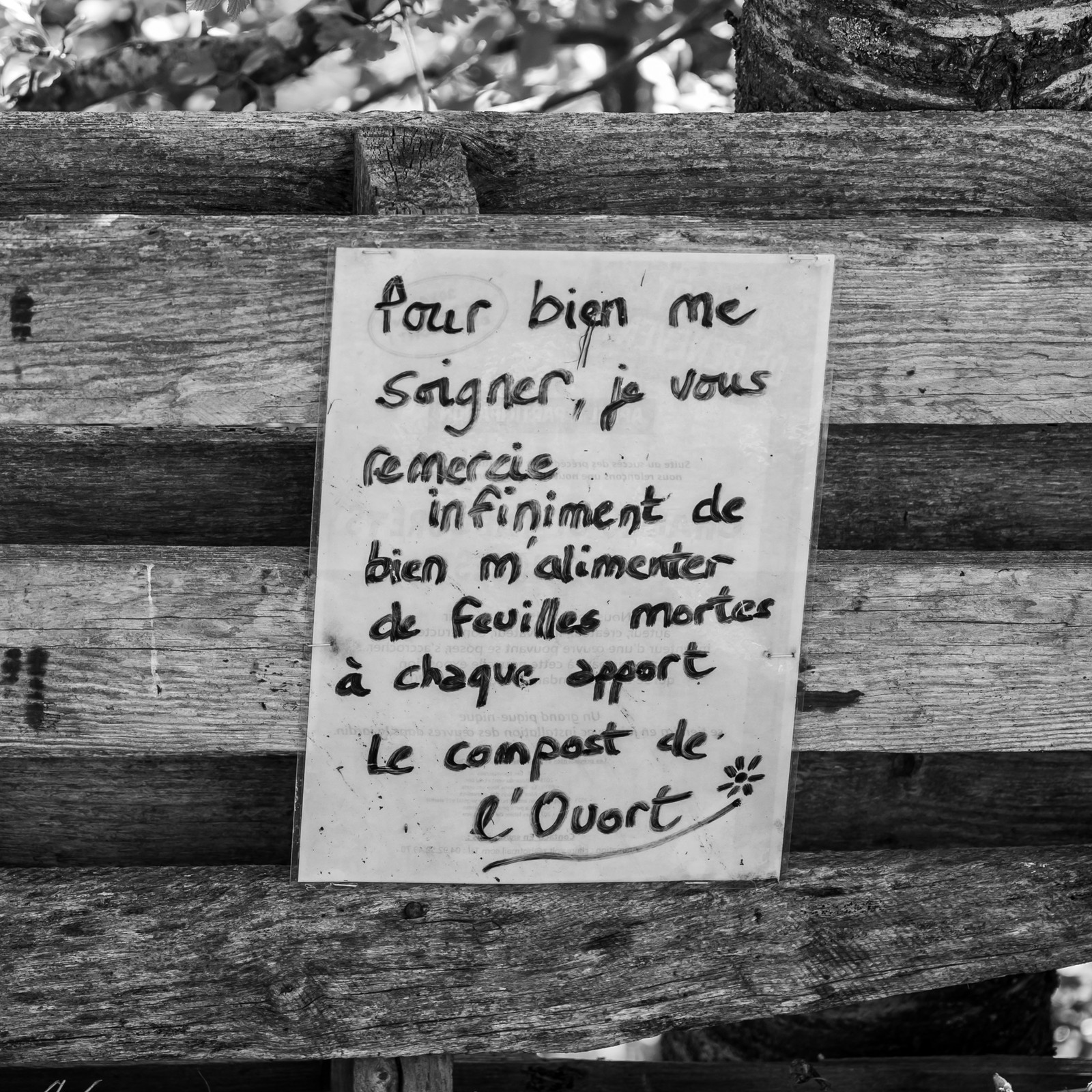 25 avril 2025 : Journée des Aidants