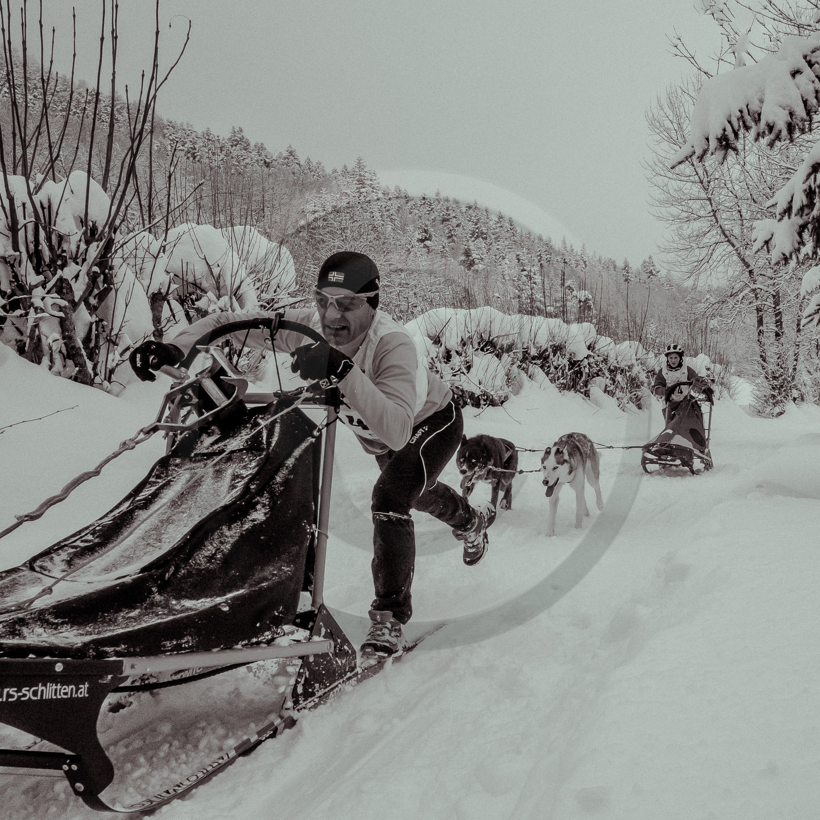 La Valgaude Traineau 2015