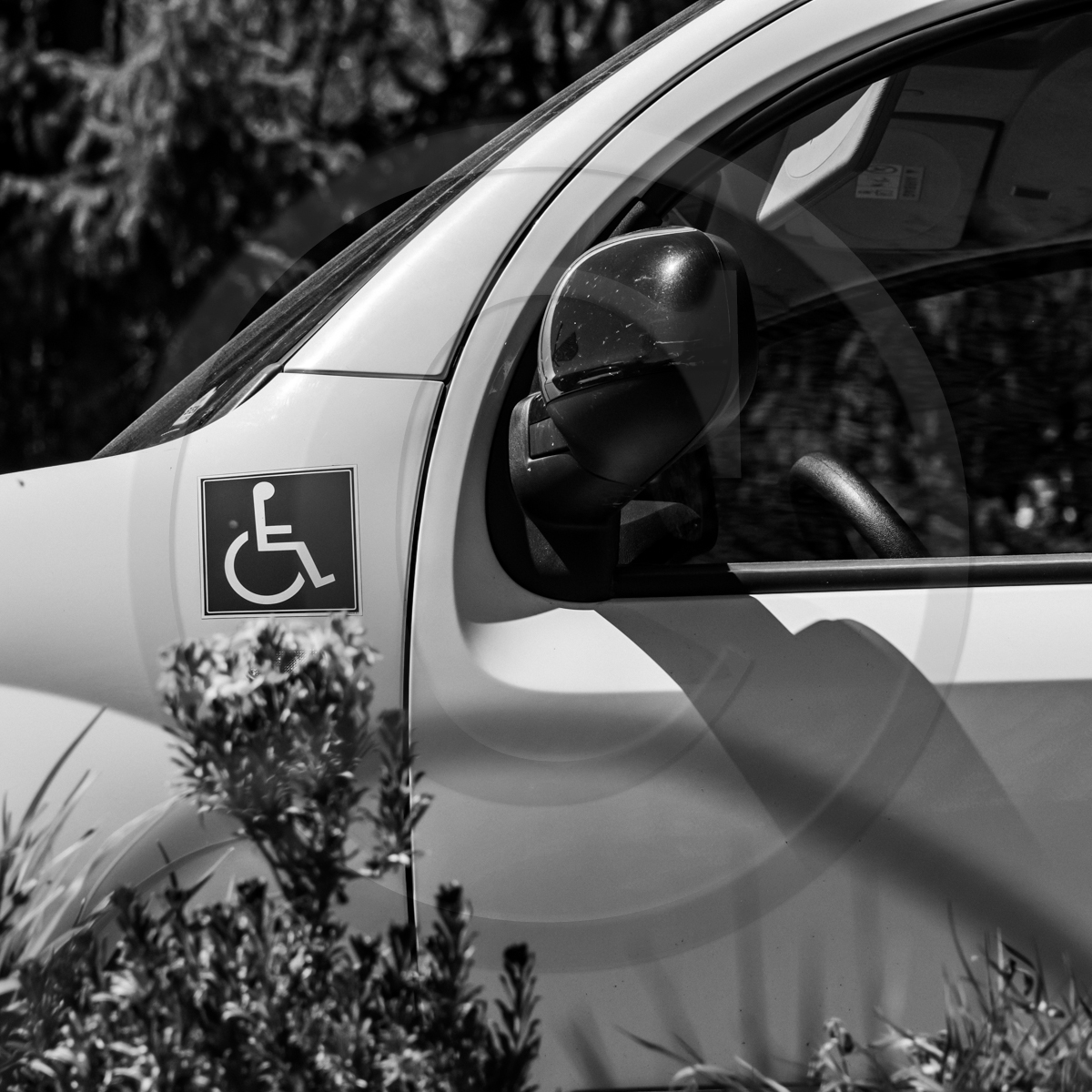 Atelier laine et promenade au jardin