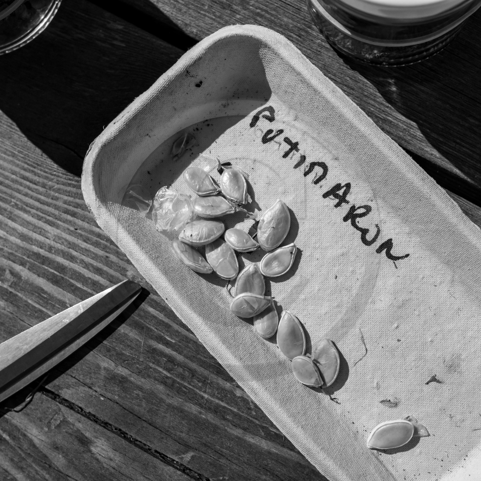 06 juin 2021 : Vide-Jardin et peinture végétale 06 juin 2021 : Vide-Jardin et peinture végétale