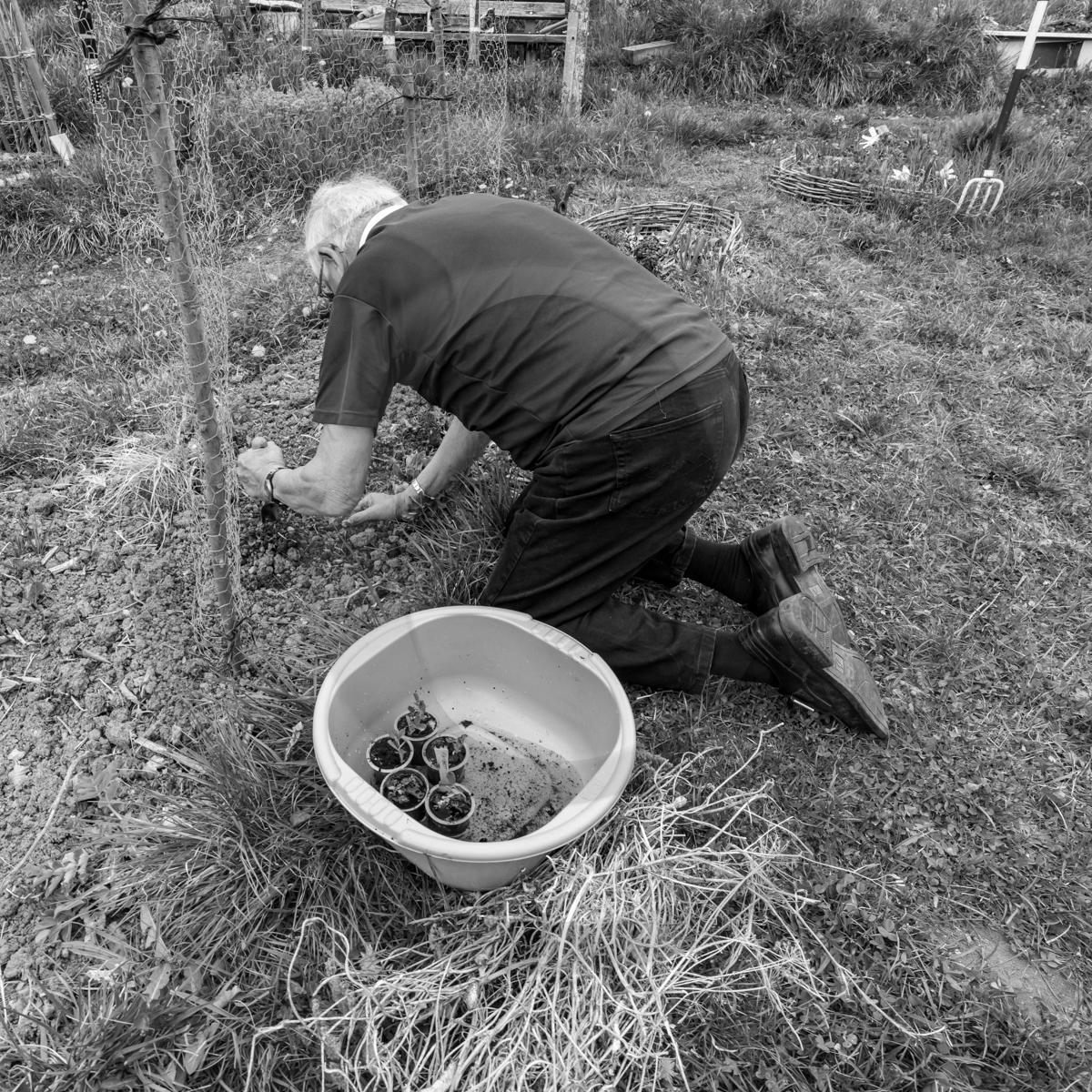 20 avril 2022 : des contes, des pommes de terre et un petit café