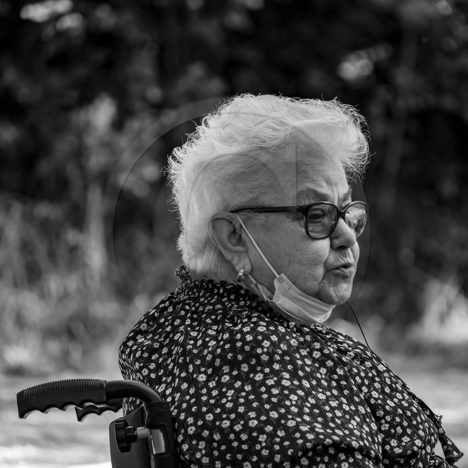 01 septembre 2021 : Promenade en cariole et contes