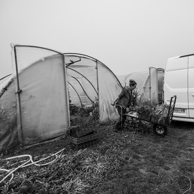 Maraichage biologique dans le Champsaur