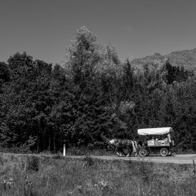 01 septembre 2021 : Promenade en cariole et contes