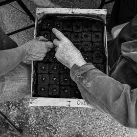 24 mai 2023 : du bricolage, du jardinage et une visite