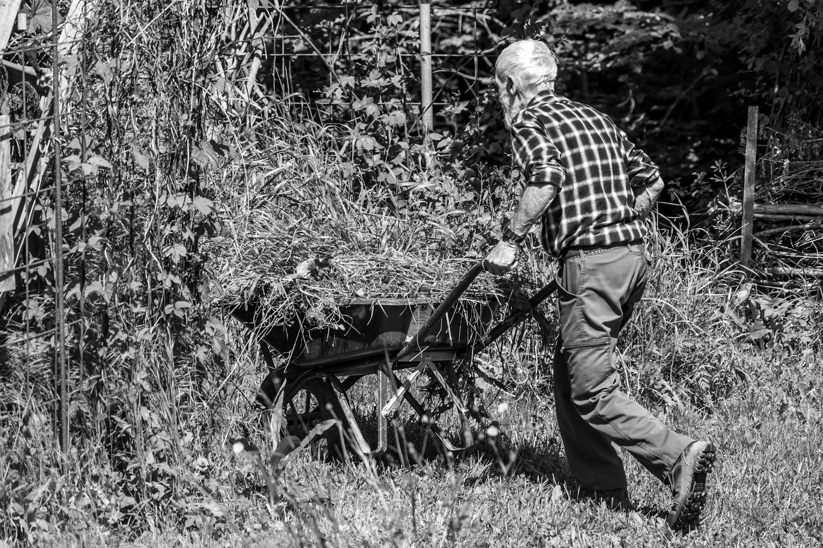 21 mai 2025 : Des photos et des contes