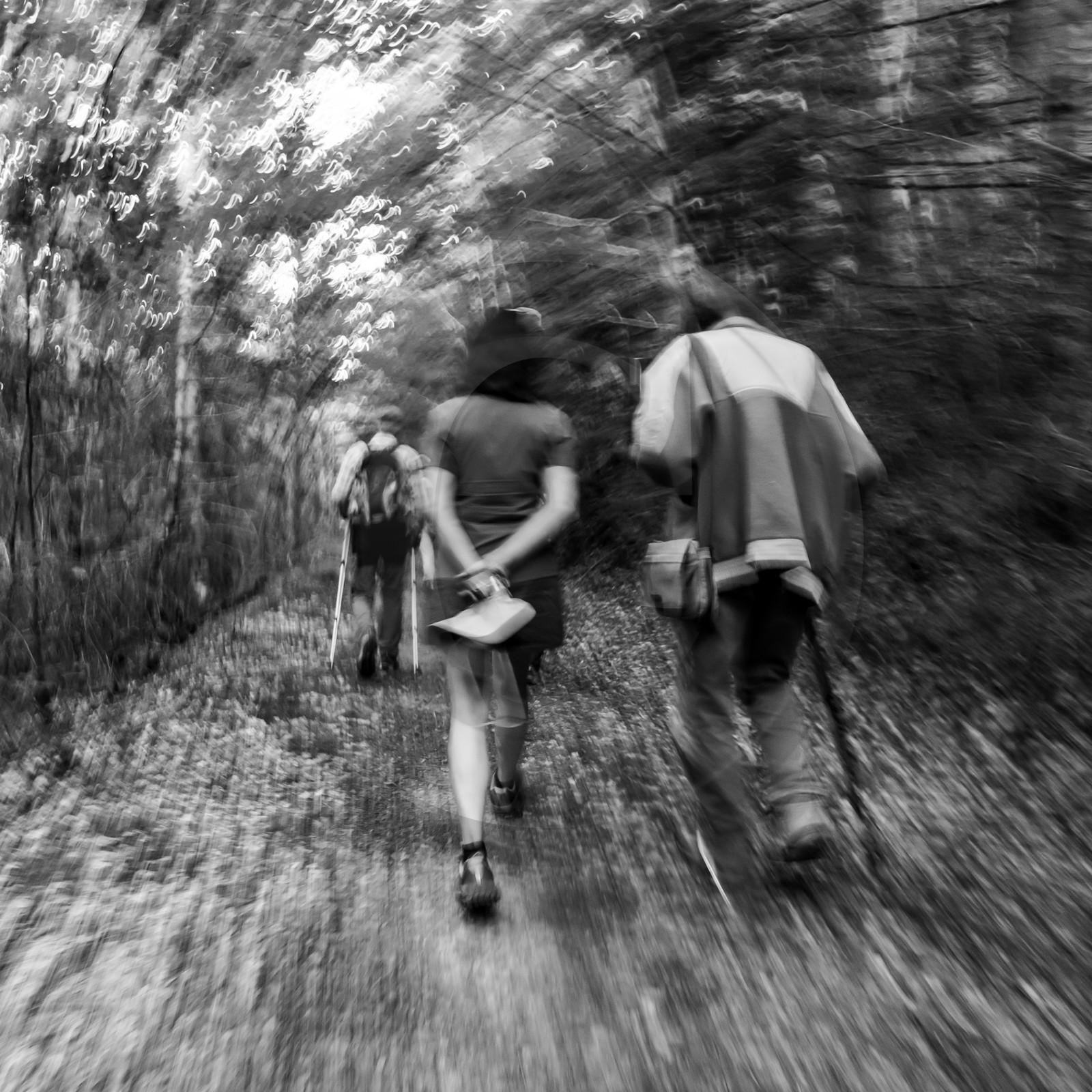 Arpenter le paysage avec Martin de la Soudière