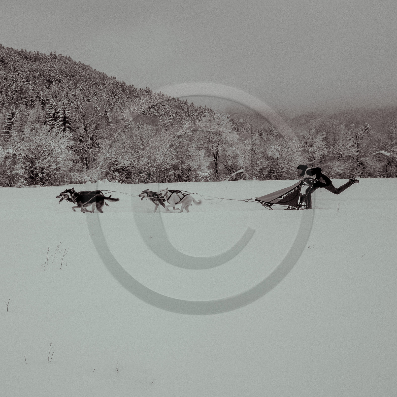 La Valgaude Traineau 2015
