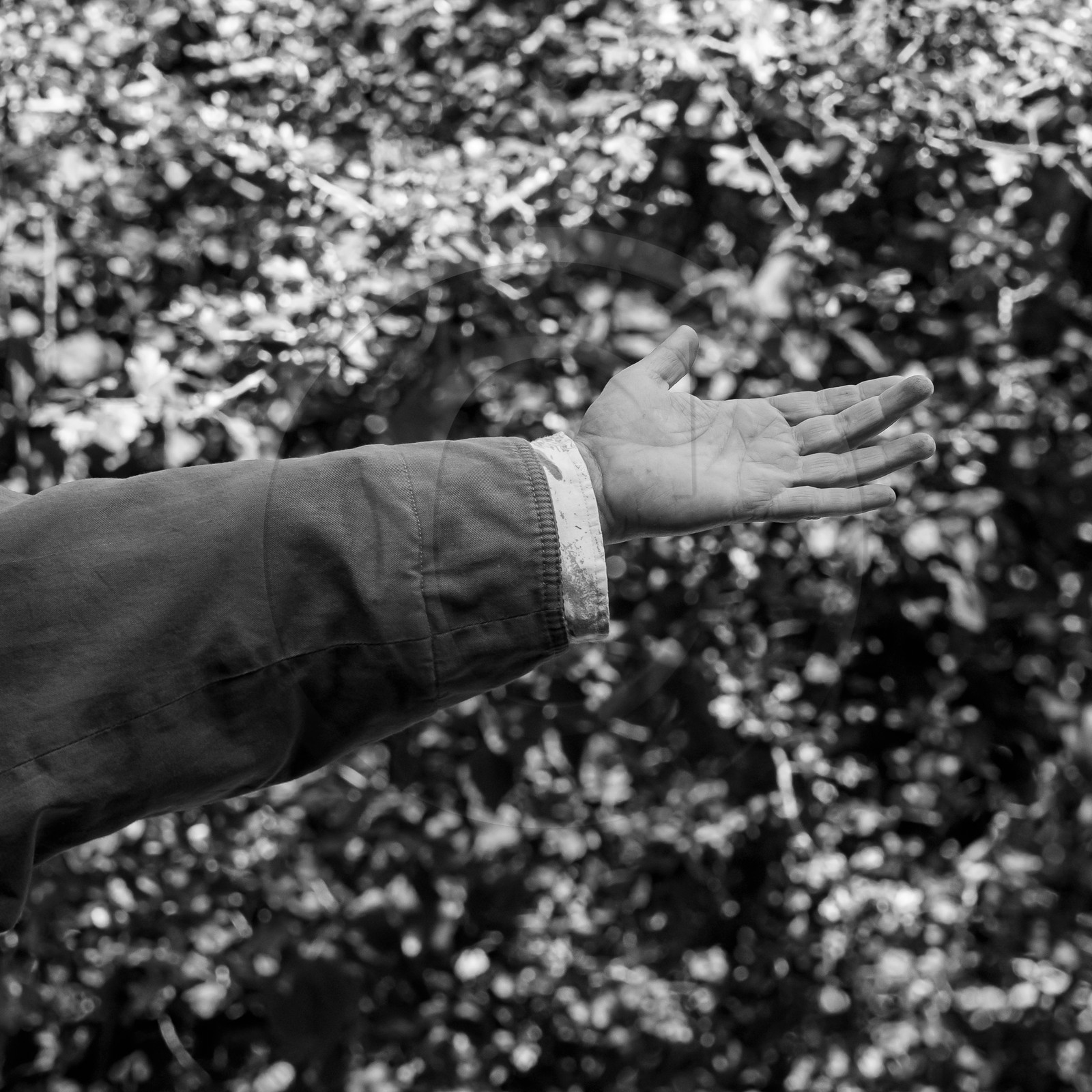 27 septembre 2023 : des crêpes et des clowns 27 septembre 2023 : des crêpes et des clowns