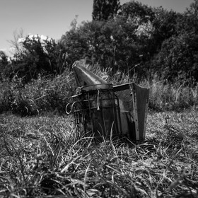 La récolte du miel