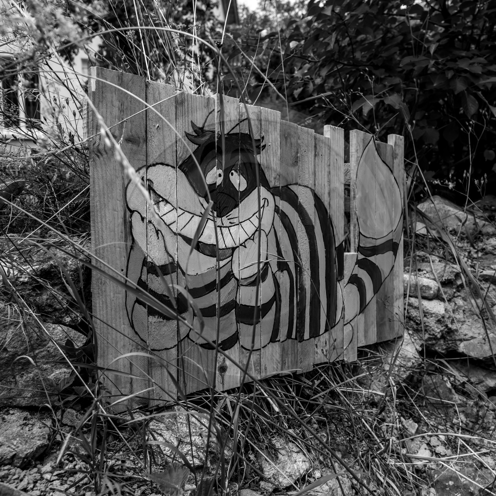 Exposition Alice Exposition Alice