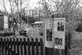 03 mai 2024 : Journée des aidants