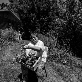 30 juin 2021 : Jardinage, jeux de cartes, masques
