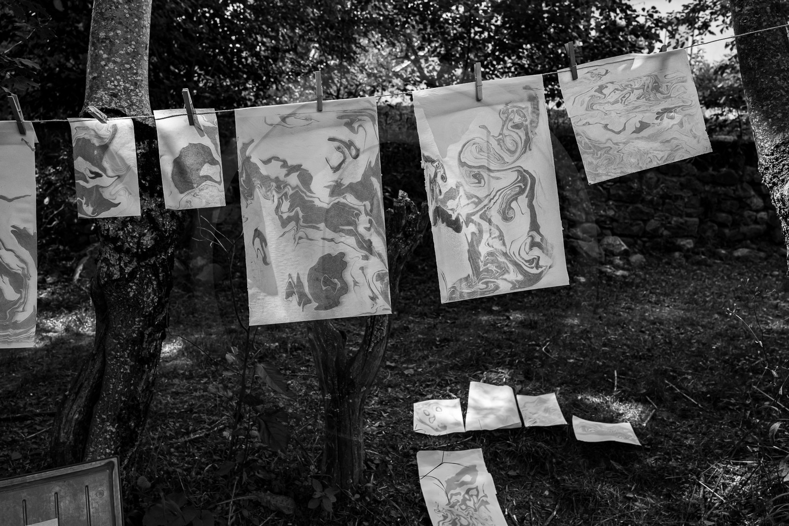 05 juillet 2023 : une cantine et des artistes 05 juillet 2023 : une cantine et des artistes