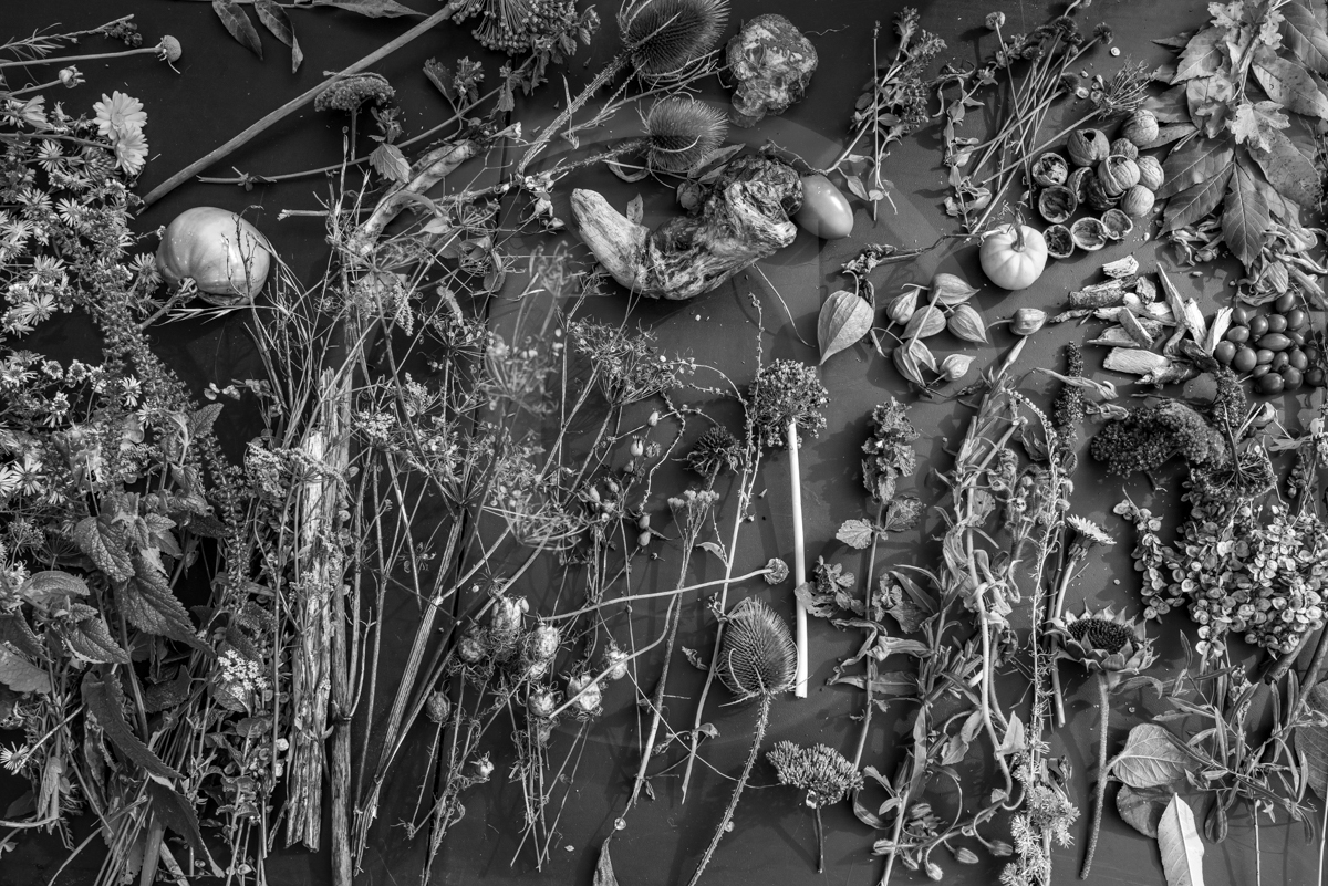 12 octobre 2022 : Land Art à l'Ouort