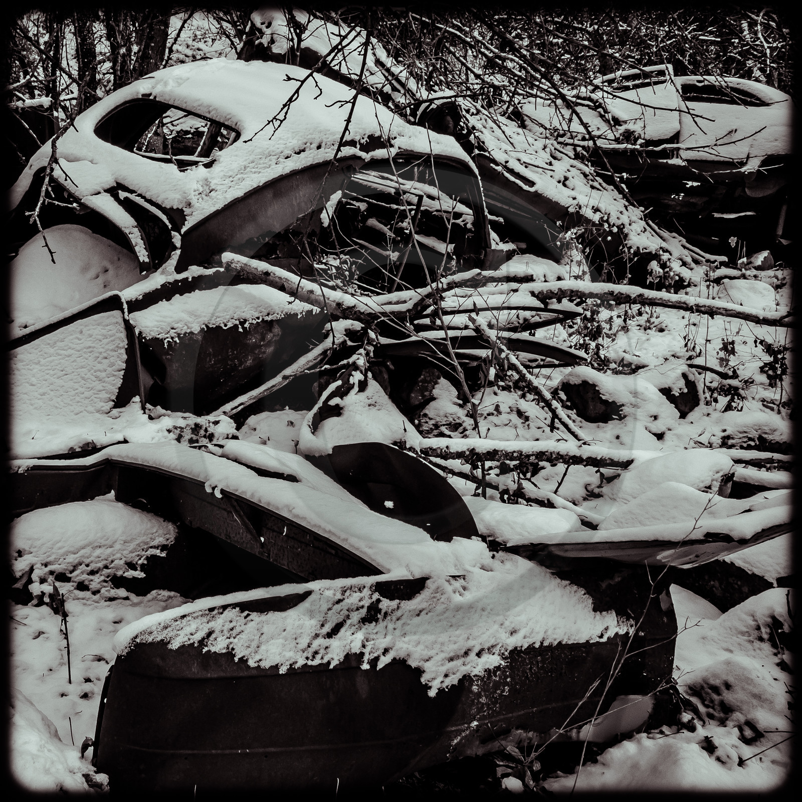 Un cimetière de voitures