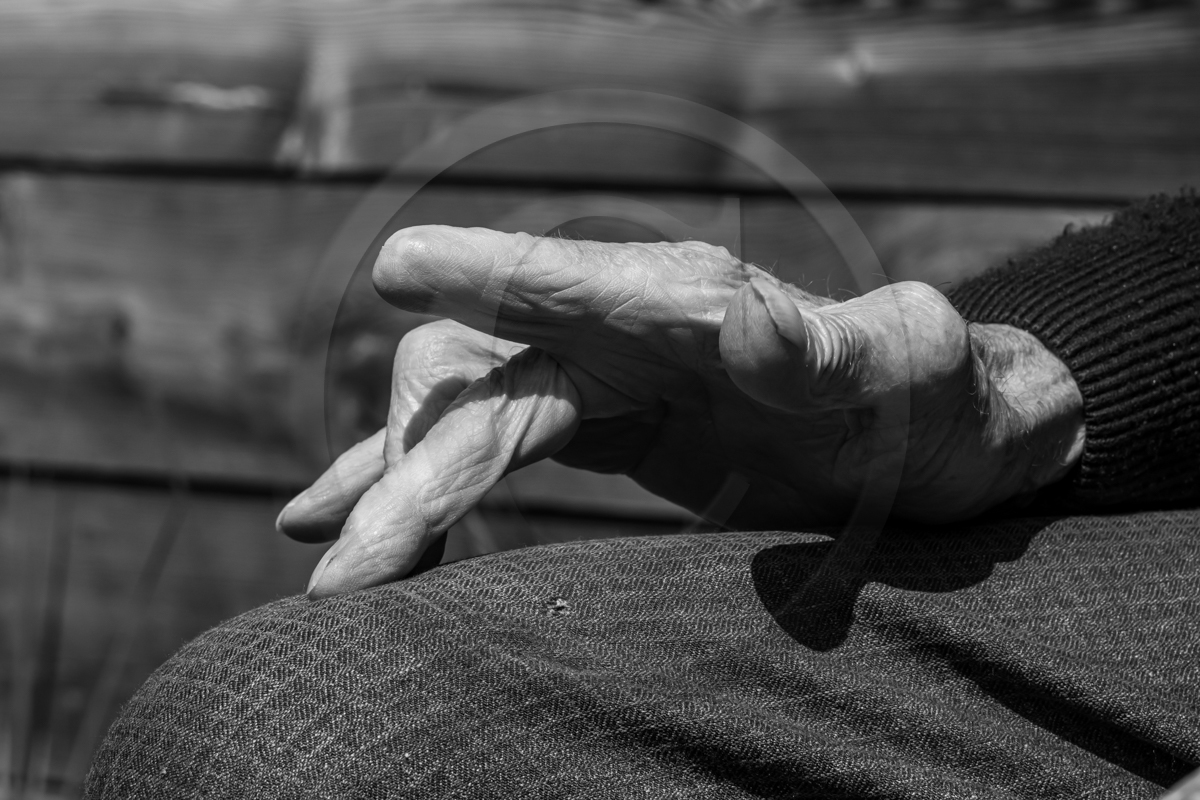 24 avril 2023 : Journée des aidants et des aidés