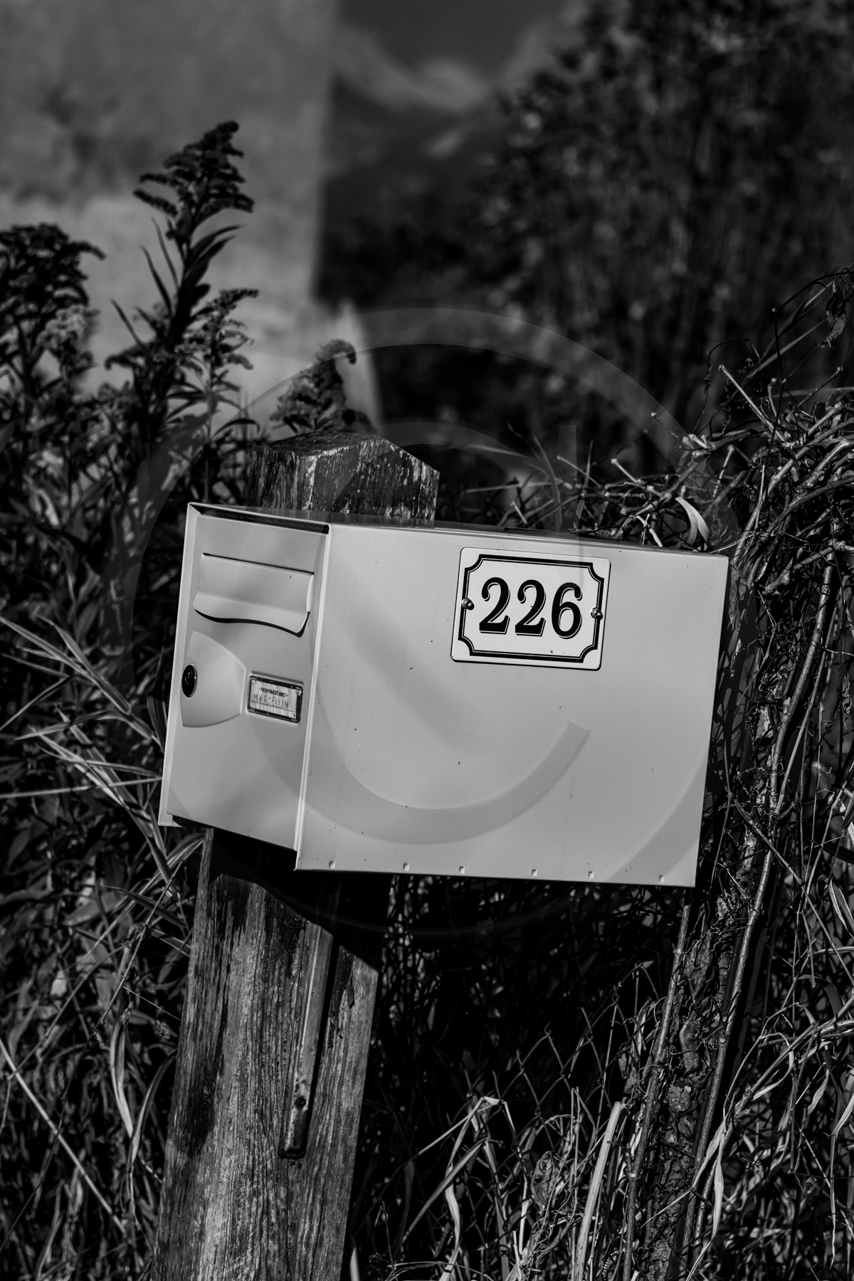 Des chiffres et des lettres