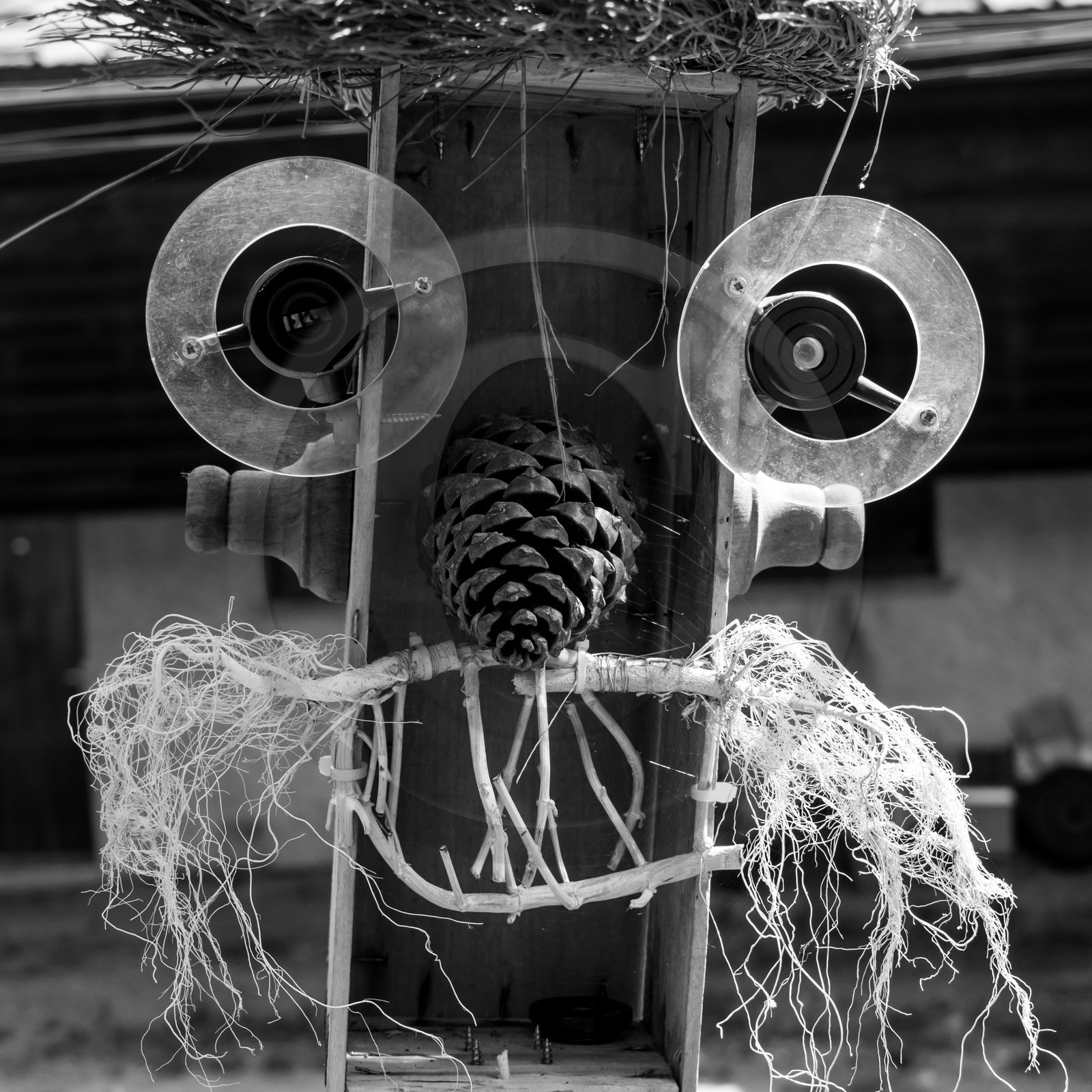 23 août 2017 - Animations 23 août 2017 - Animations