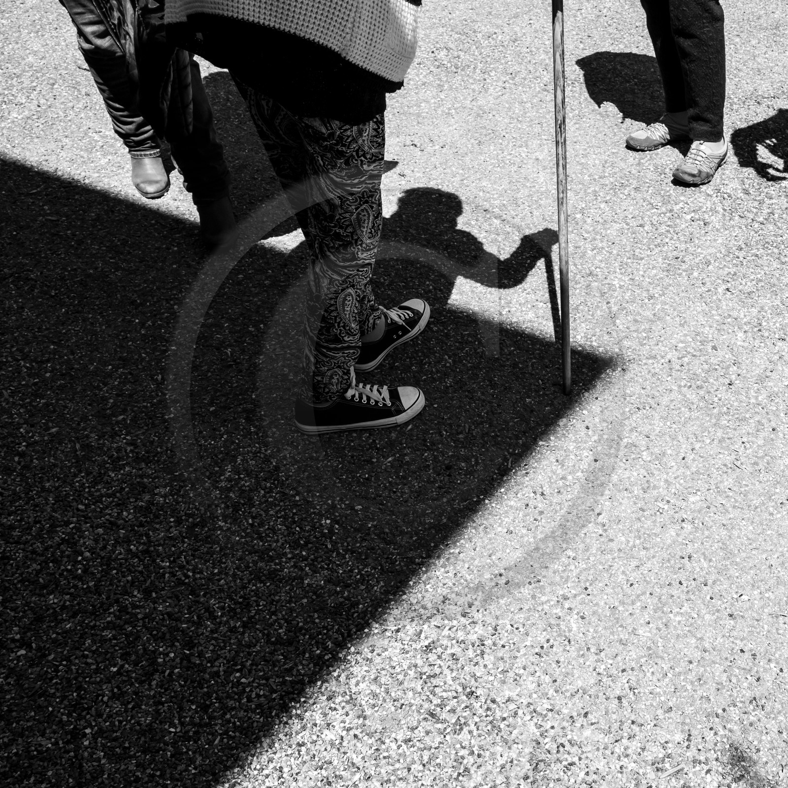 15 mai 2019 : création de fleurs en plastique