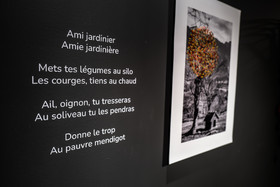 Exposition L comme laine, lien, lieu conçue par l'Ouort de Benevènt, sous la houlette de Claudine Meyer, artiste plasticienne, accompagnée de photographies de Denis Lebioda. Une proposition de la Communauté de Communes du Champsaur - Valgaudemar et de son service culturel.