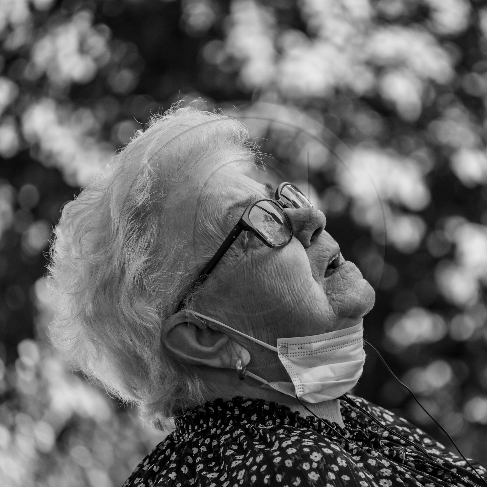 01 septembre 2021 : Promenade en cariole et contes