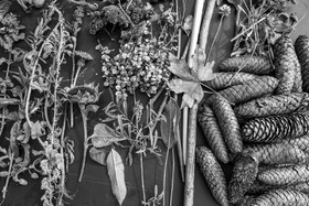 12 octobre 2022 : Land Art à l'Ouort