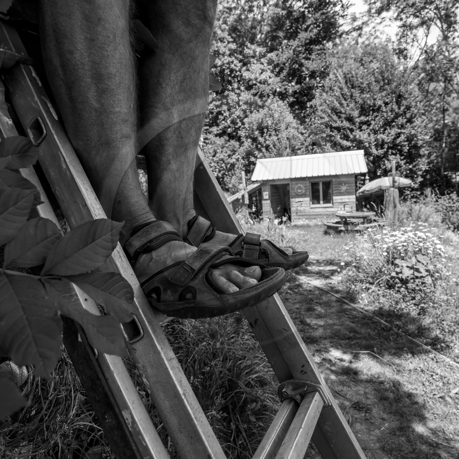 23 juin 2021 : Une après-midi à l'Ouort