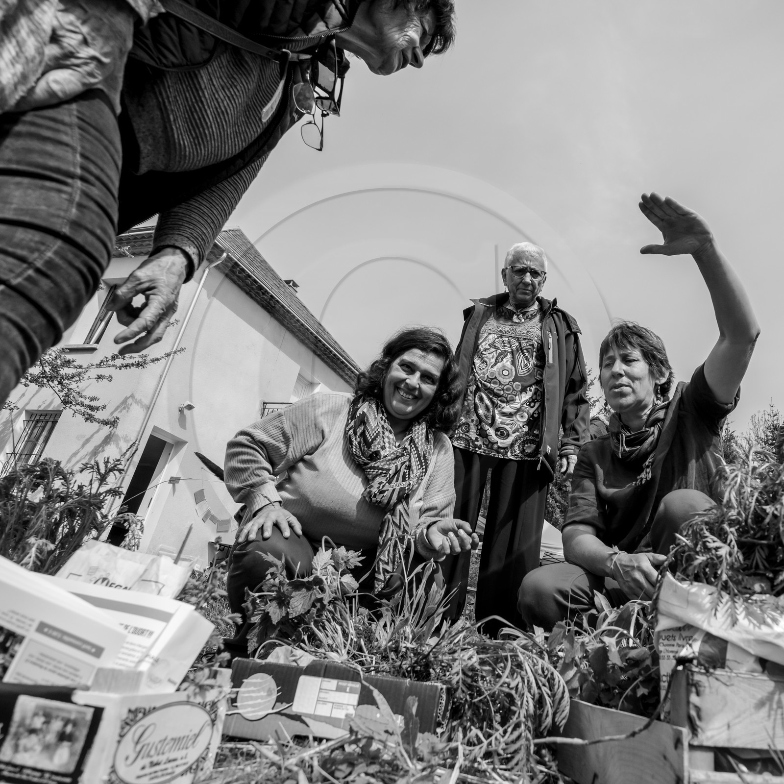 25 mai 2019 : Vide-Jardin de l'Ouort de Benevènt