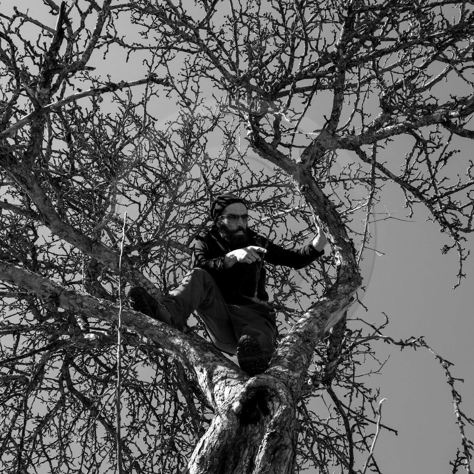 06 février 2019 : la pose des nichoirs