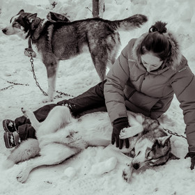 La Valgaude Traineau 2015
