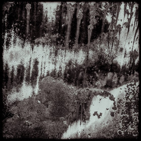 Un cimetière de voitures