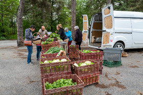 31 mai 2025 : AMAP du Champsaur - Distribution