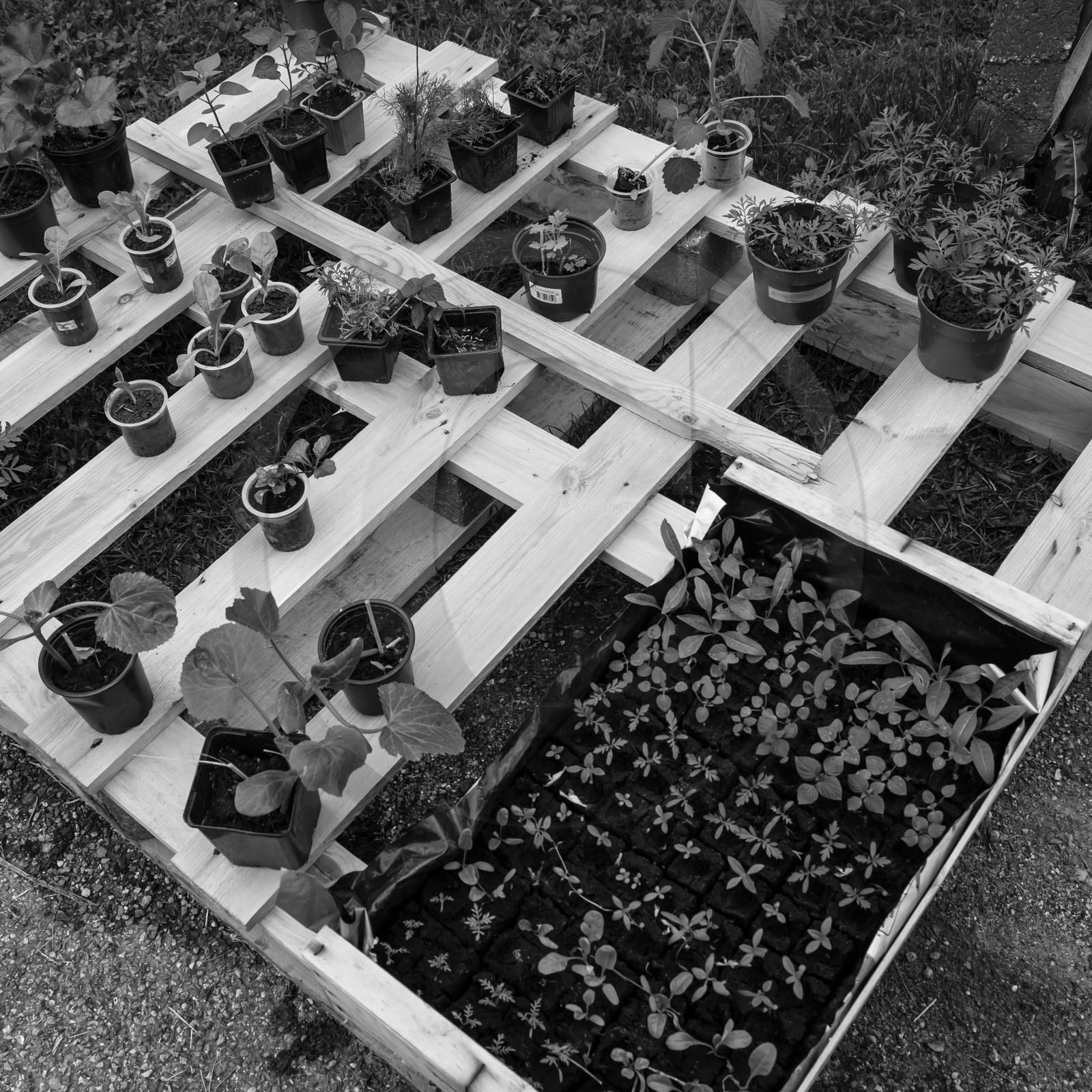 Vide-Jardin à l'Ouort