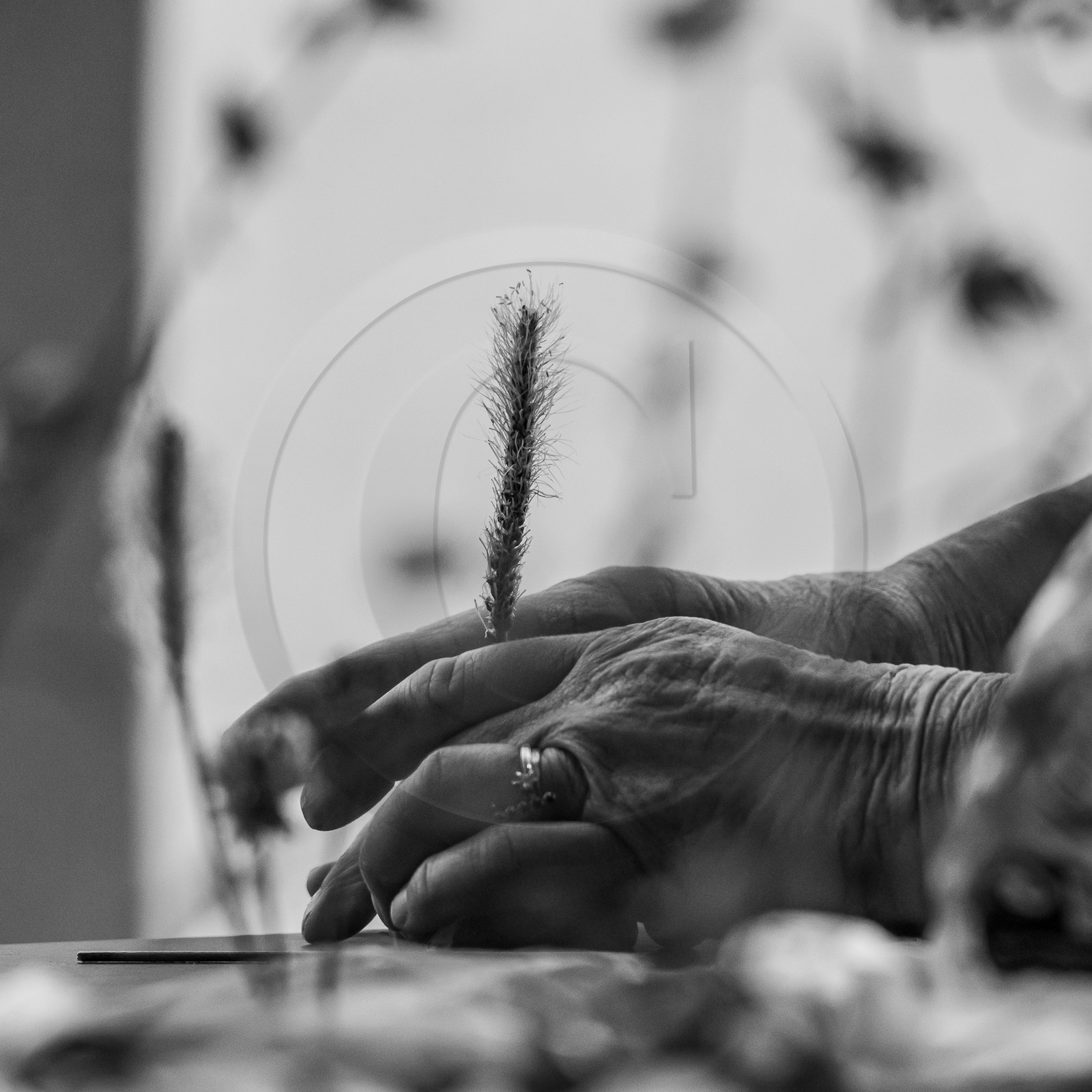 26 juin 2023 : journée des aidants et des aidés