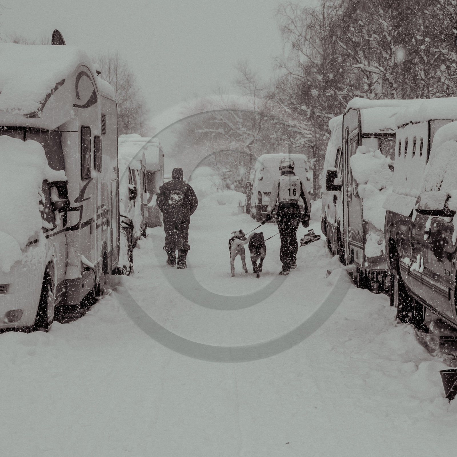 La Valgaude Traineau 2015