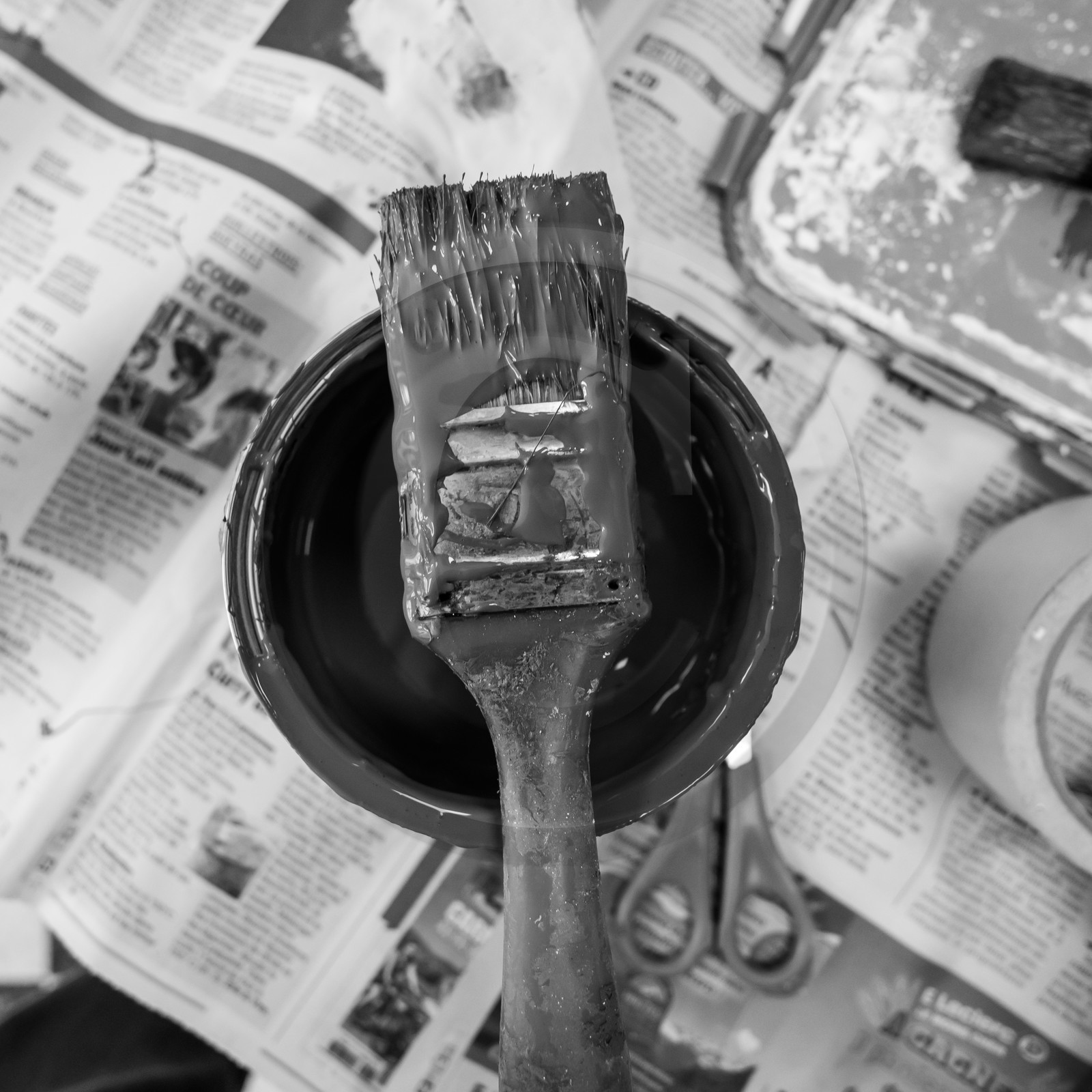 Animations au jardin Animations au jardin