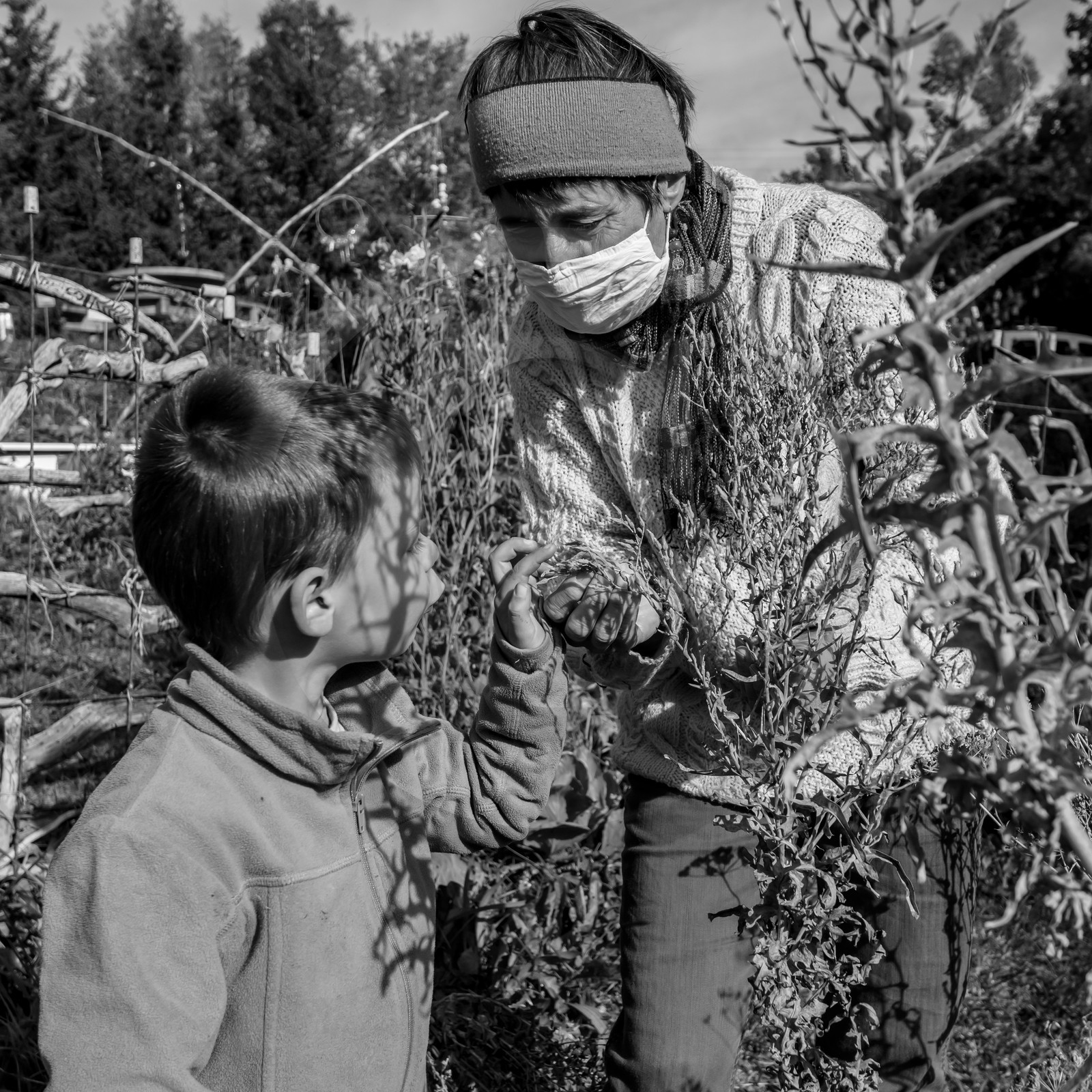 Semis, tournesols et jeux Semis, tournesols et jeux
