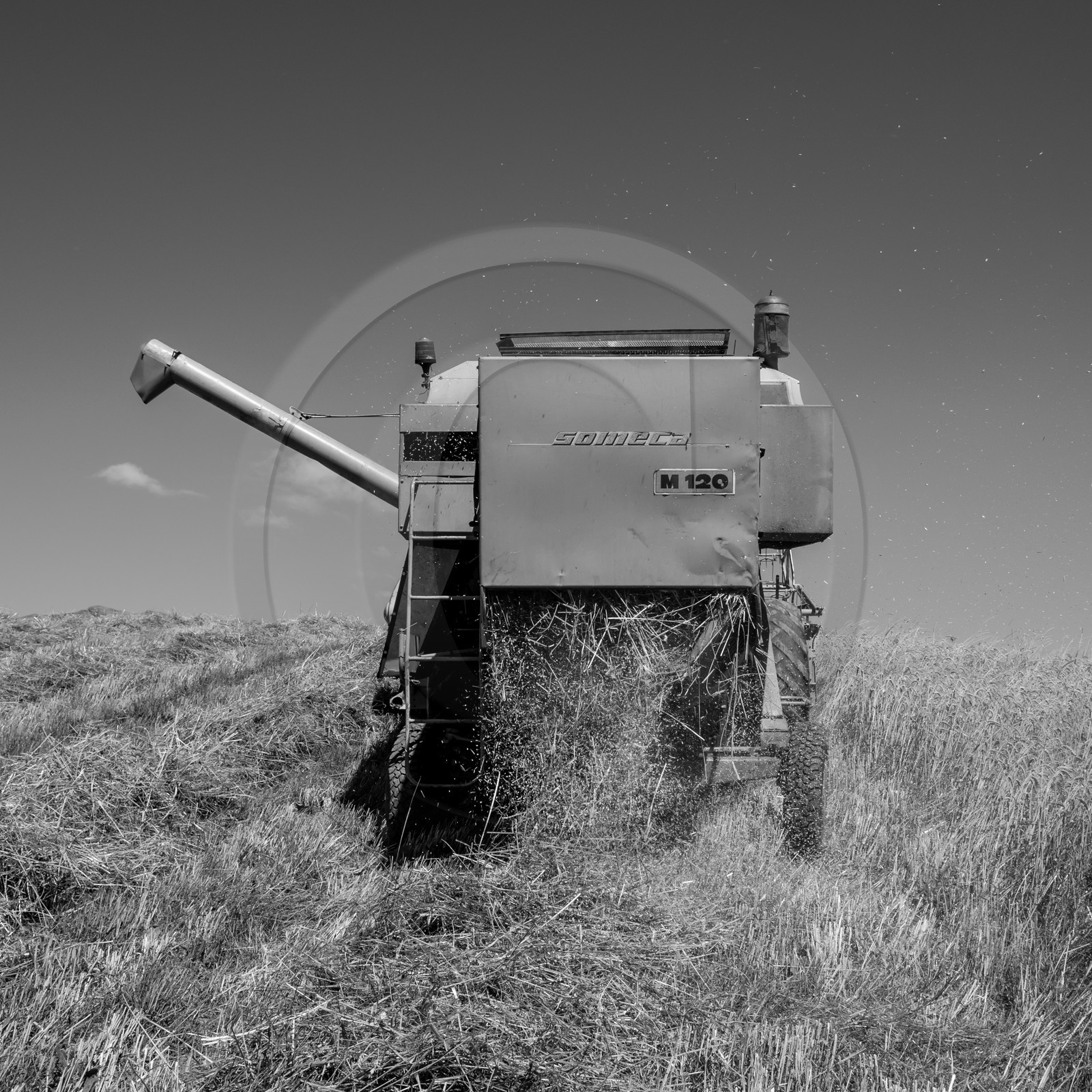 Les moissons dans le Champsaur